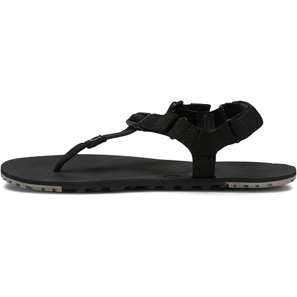 Amazon.co.jp: (ゼロシューズ) Xero Shoes ジェネシス サンダル